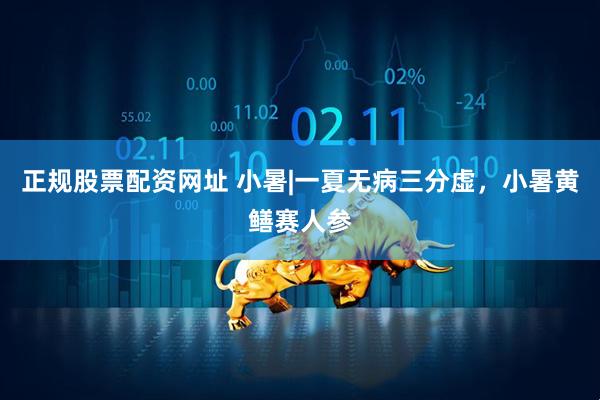 正规股票配资网址 小暑|一夏无病三分虚，小暑黄鳝赛人参