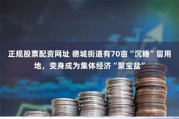正规股票配资网址 德城街道有70亩“沉睡”留用地，变身成为集体经济“聚宝盆”
