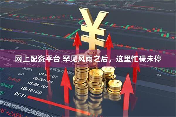 网上配资平台 罕见风雨之后，这里忙碌未停